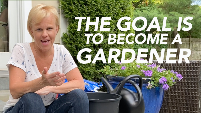 101444104_314031813113527_1743821116823525556_n