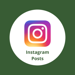 Instagram Posts